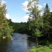 Aventura en Haliburton Forest