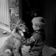 Buen Ciudadano Canino: Conociendo tu Mascota