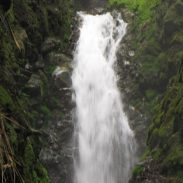 Un Nuevo Viaje a La Gruta